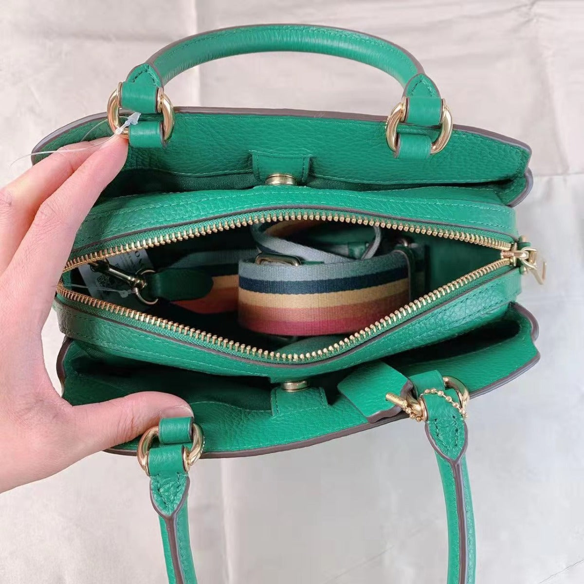 Coach C8364 Mini Lillie Carryall With Diary Embroidery In Gold/Green Multi Coach C8364 Mini Lillie Carryall With Diary Embroidery In Gold/Green Multi